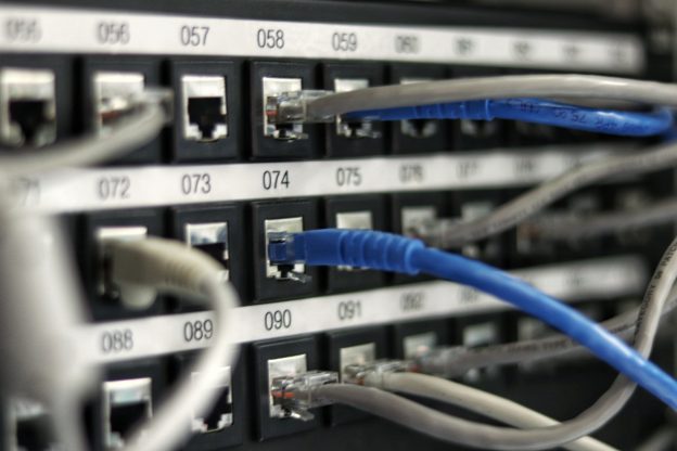 Câbles réseau branchés à un switch